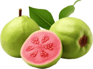 Synadentix Ingredient