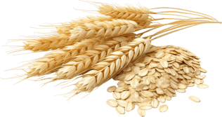 Synadentix Ingredient