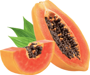 Synadentix Ingredient